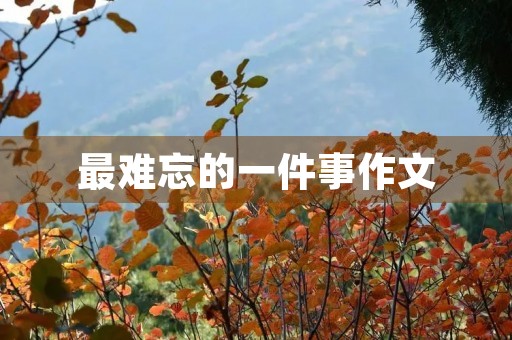 最难忘的一件事作文 最难忘的一件事作文