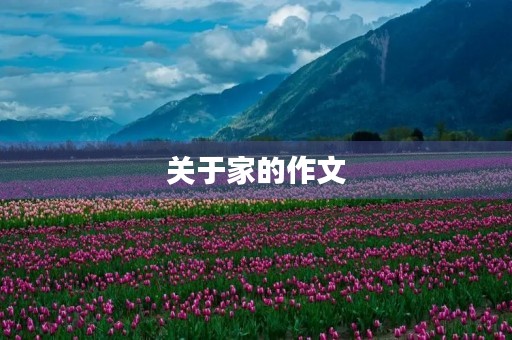 关于家的作文