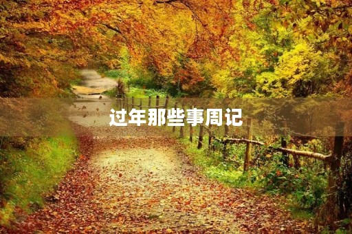 过年那些事周记 过年那些事周记