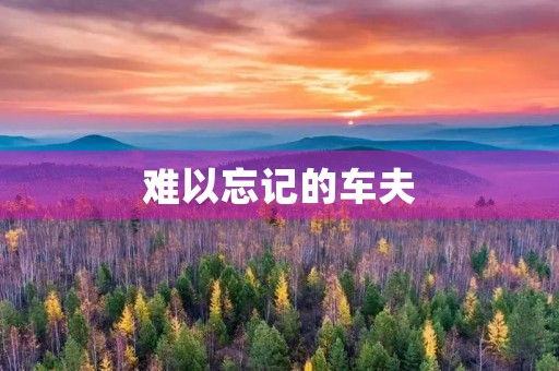 难以忘记的车夫 难以忘记的车夫