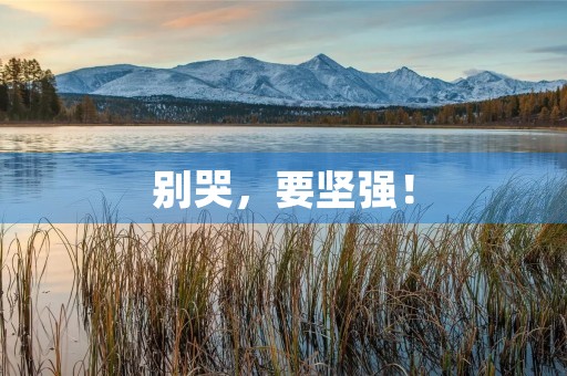 别哭,要坚强! 别哭,要坚强!