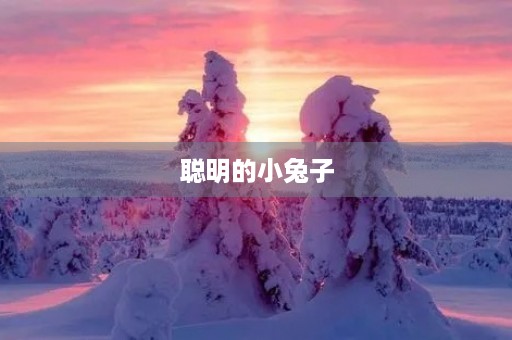 聪明的小兔子 聪明的小兔子