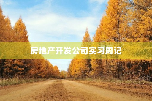 房地产开发公司实习周记 房地产开发公司实习周记