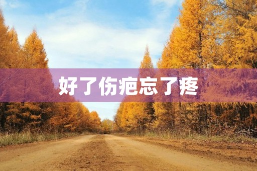 好了伤疤忘了疼 好了伤疤忘了疼