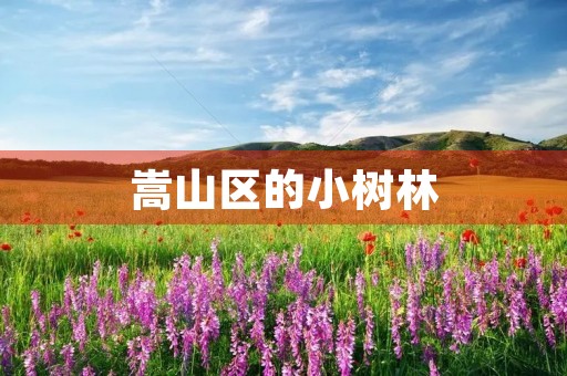 嵩山区的小树林 嵩山区的小树林