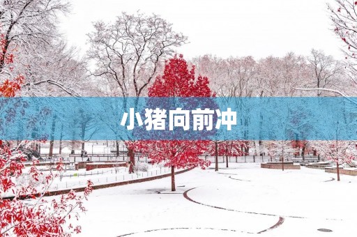 小猪向前冲 小猪向前冲