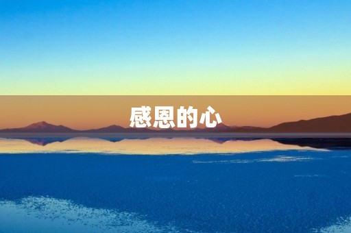 感恩的心