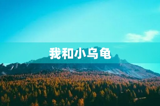 我和小乌龟 我和小乌龟
