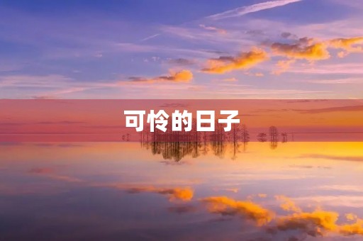 可怜的日子