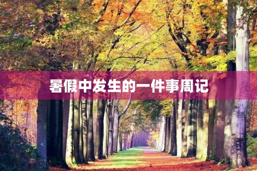 暑假中发生的一件事周记 暑假中发生的一件事周记