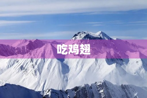 吃鸡翅