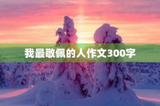 我最敬佩的人作文300字 我最敬佩的人作文300字