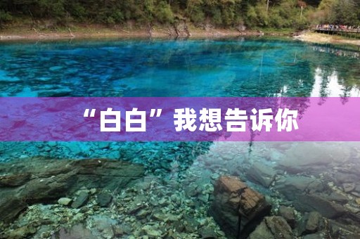 “白白”我想告诉你 “白白”我想告诉你