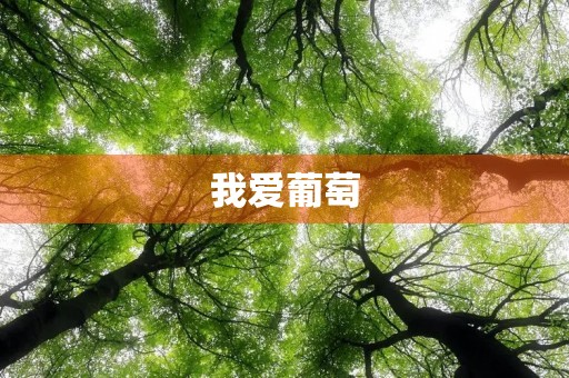 我爱葡萄