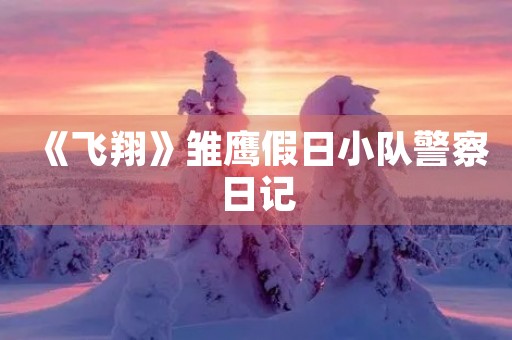 《飞翔》雏鹰假日小队警察日记