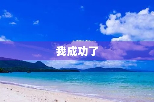 我成功了 我成功了