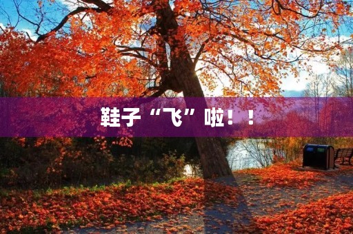 鞋子“飞”啦!! 鞋子“飞”啦!!