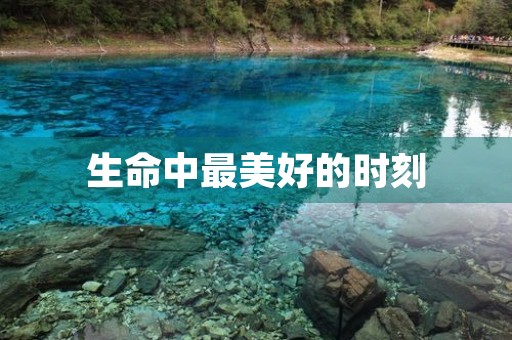 生命中最美好的时刻