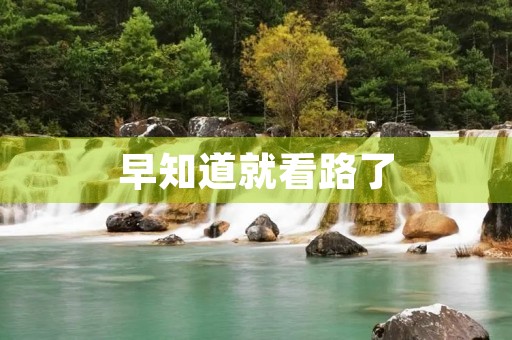 早知道就看路了 早知道就看路了