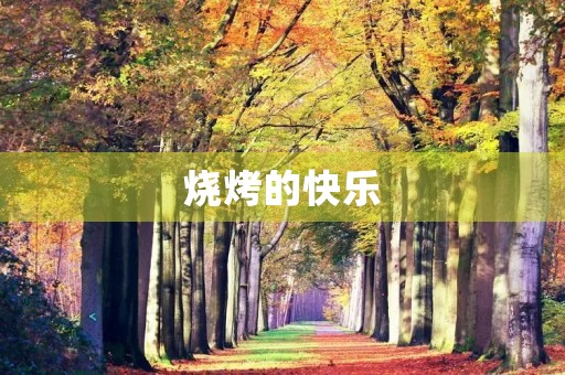 烧烤的快乐 烧烤的快乐