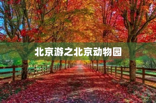 北京游之北京动物园 北京游之北京动物园