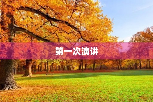 第一次演讲