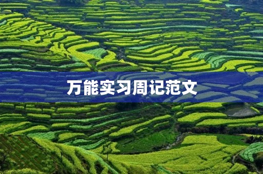 万能实习周记范文