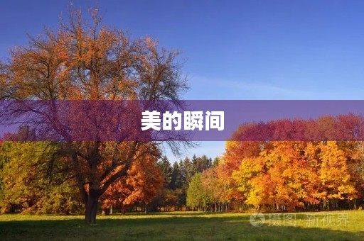 美的瞬间