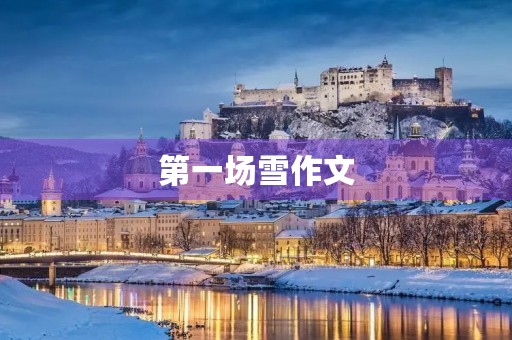 第一场雪作文 第一场雪作文