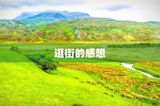 逛街的感想 逛街的感想