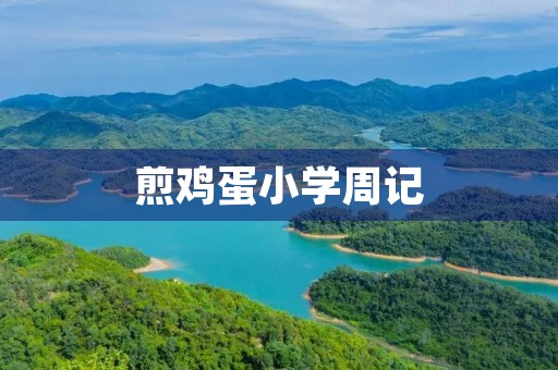 煎鸡蛋小学周记 煎鸡蛋小学周记