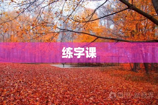 练字课 练字课