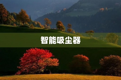 智能吸尘器 智能吸尘器