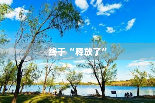 终于“释放了” 终于“释放了”