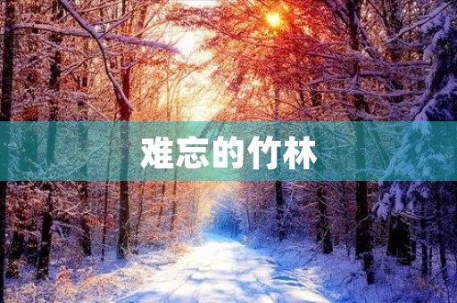 难忘的竹林 难忘的竹林