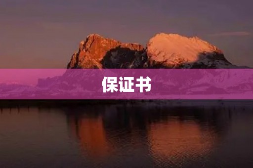 保证书