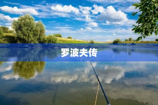 罗波夫传 罗波夫传
