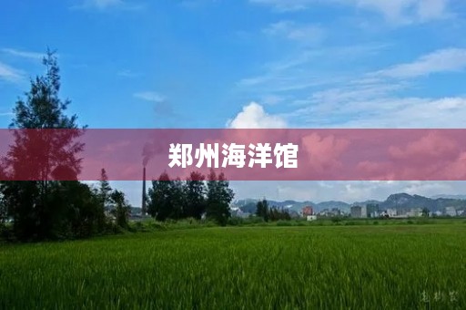 郑州海洋馆 郑州海洋馆