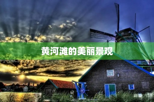黄河滩的美丽景观 黄河滩的美丽景观