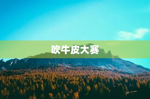 吹牛皮大赛 吹牛皮大赛