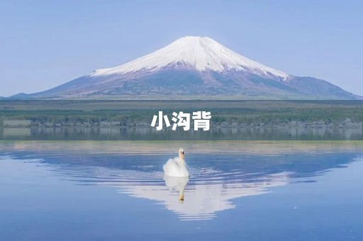小沟背 小沟背