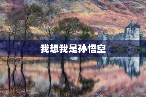 我想我是孙悟空 我想我是孙悟空