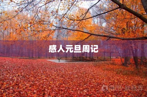 感人元旦周记