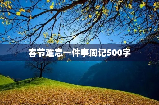 春节难忘一件事周记500字 春节难忘一件事周记500字