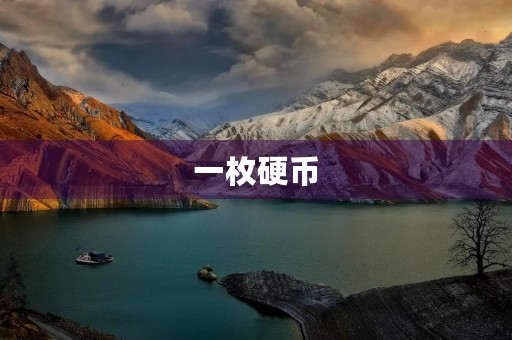 一枚硬币 一枚硬币