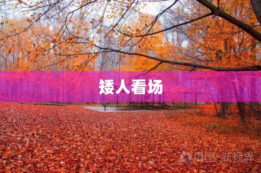矮人看场