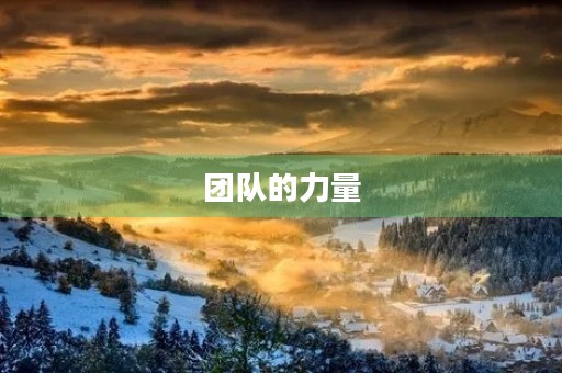 团队的力量 团队的力量
