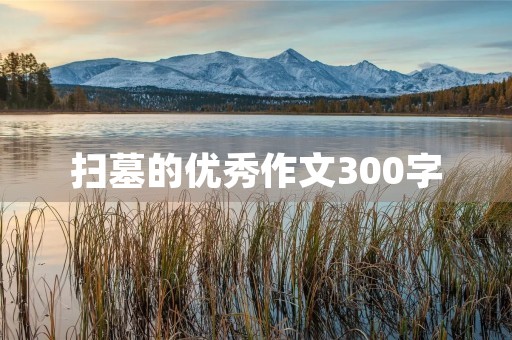 扫墓的优秀作文300字