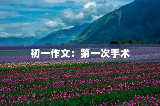 初一作文:第一次手术 初一作文:第一次手术