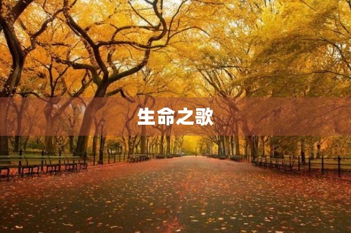生命之歌 生命之歌